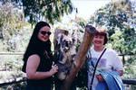 but we got there anyway!  Erin and Gaye, with koala!