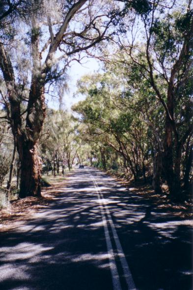 Route 60, which Kirsty swore didn't exist... there it is.
