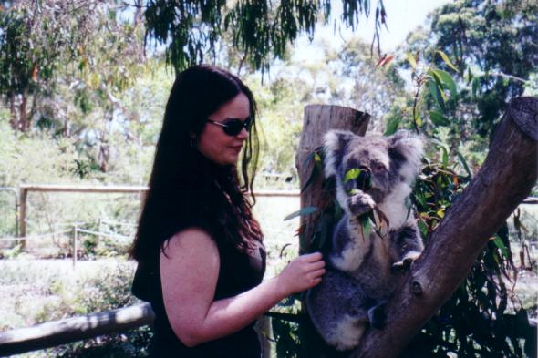 Yeah, don't let me disturb your busy day there, Mr Koala