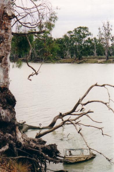 Photo from the road, on the way out of Blanchtown.  I did say I loved the trees.