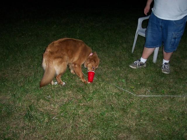100_0156.jpg