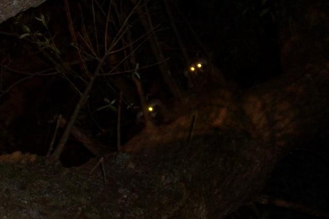 100_0159.jpg