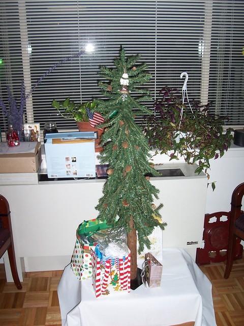100_0986.jpg