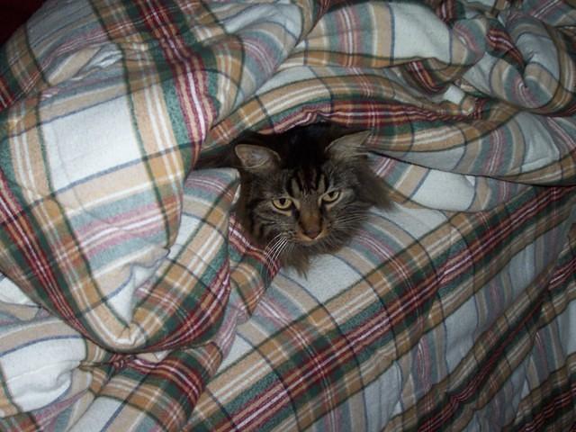 New_Pics3_035.jpg