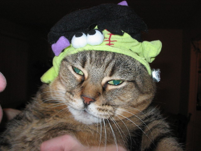 2006_1028FrankenBaby.JPG