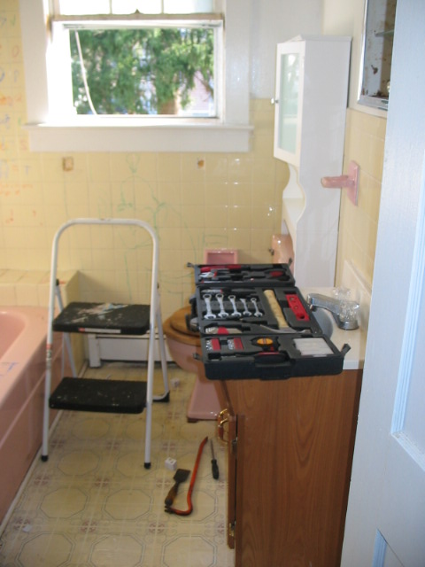 2006_1117BeforeTheGut.JPG