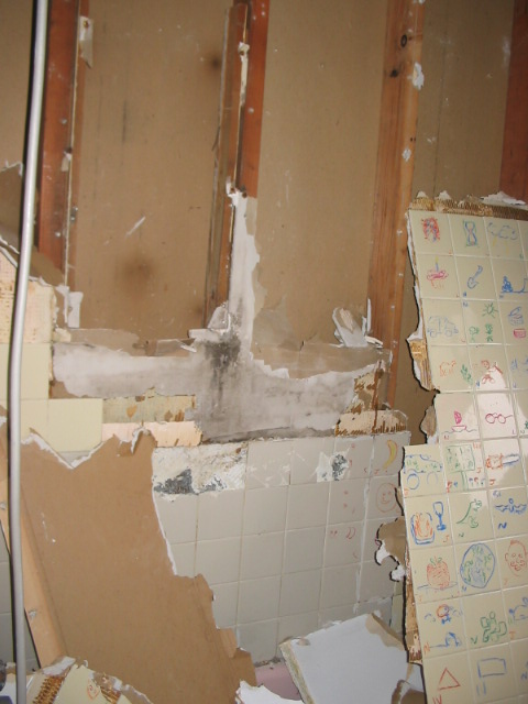 2006_1117GuttedShowerWall.JPG