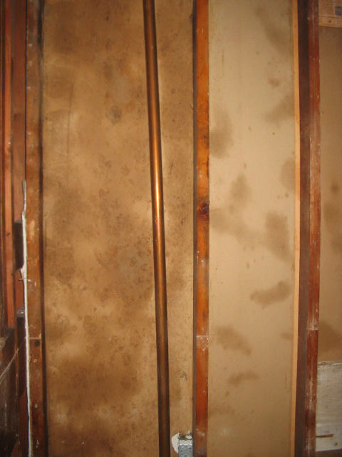 2006_1117GuttedWall1.JPG