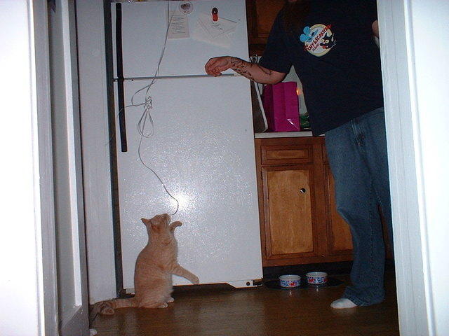 2006_0607_BeforeItAttackedHim