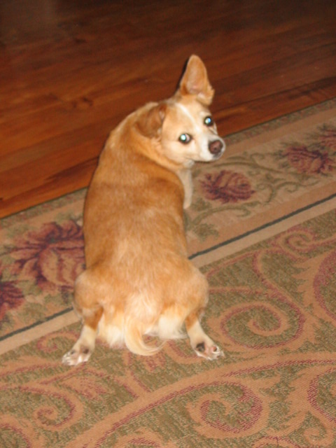 2006_0609_DoodleHead