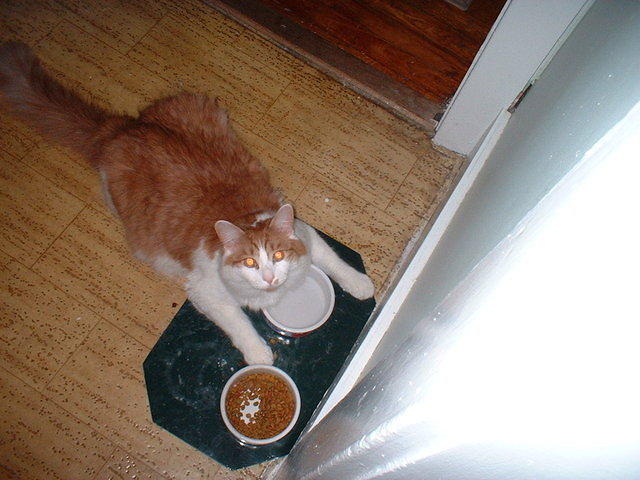 2006_0617_LazyDrinker.jpg