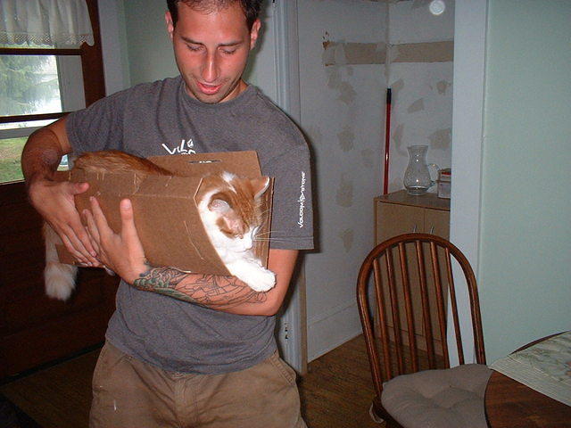 2006_0721HeSitsInAnything.JPG