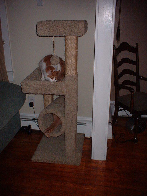2006_0801TheyLoveTheirNewCondo.JPG