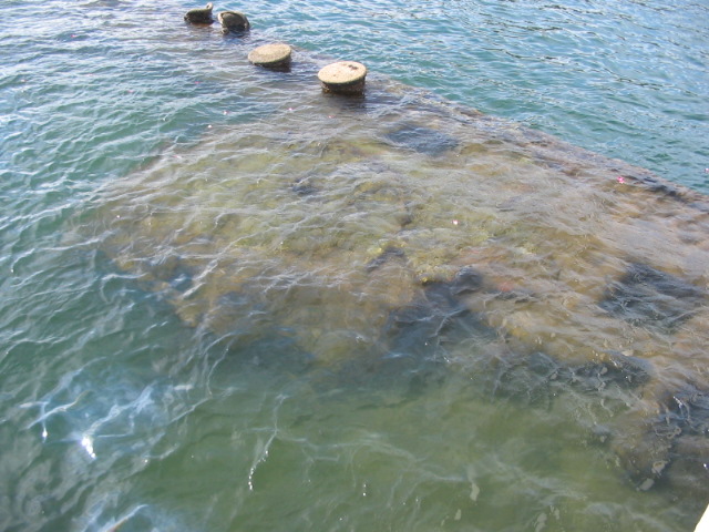2006_0115_SUnkenArizon5