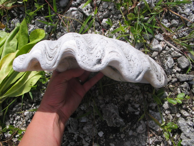 2006_0122_CoolOldShell