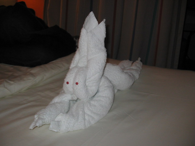 2006_0123_TheBunnyTowel