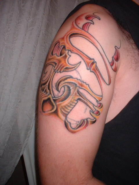 2006_0222_SleveColoredIn.jpg