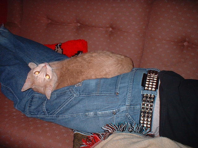 2006_0225_AniDoofus.jpg