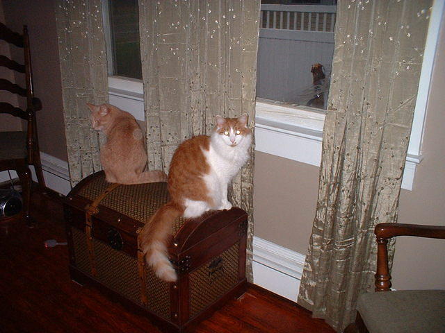 2007_1106MyTwoBoysOnABox.JPG