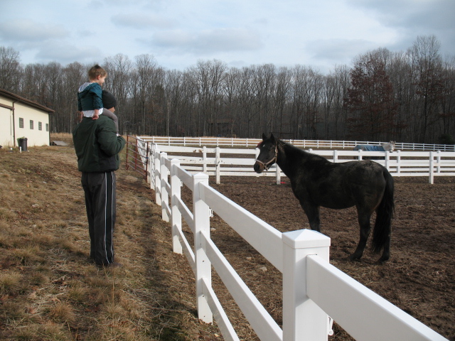 2007_1229CheckingEachOtherOut.jpg