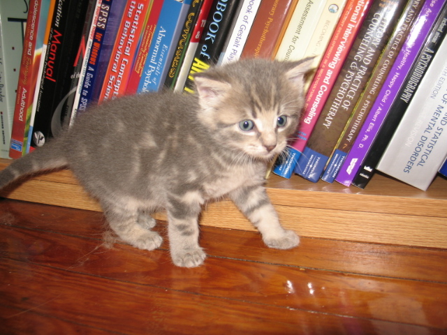 2008_0910BByBooks.jpg