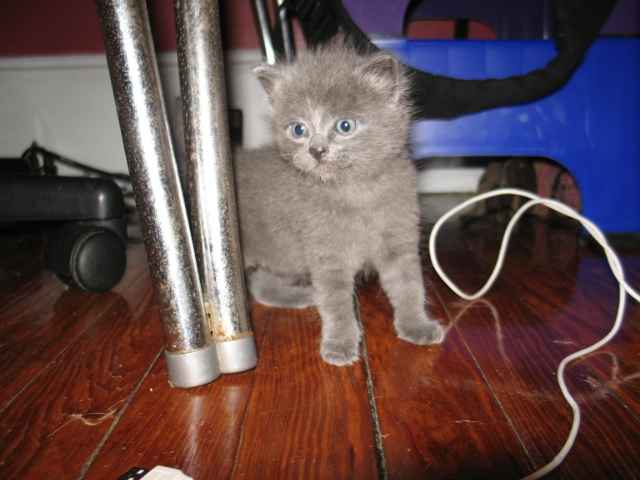 2008_0910KByDesk.jpg