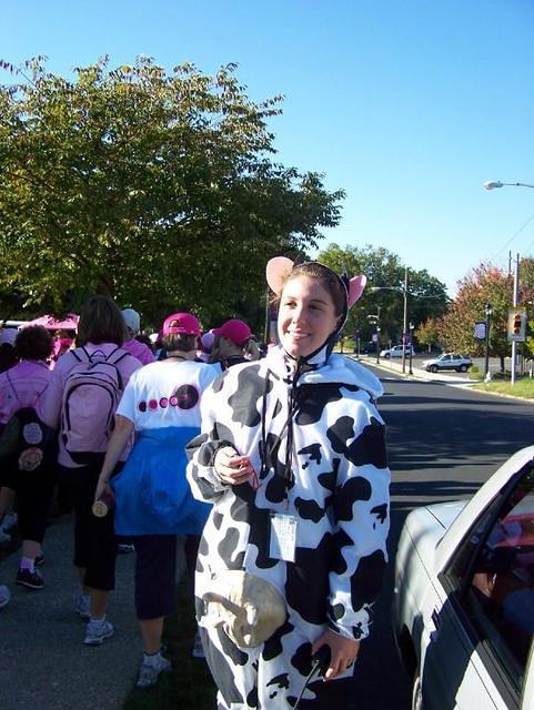2008_1019CountingCow.jpg