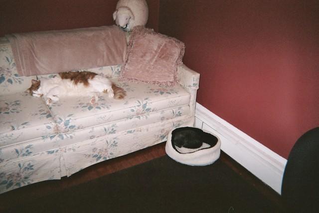 2008_1019GladTheirMommyIsHome.JPG