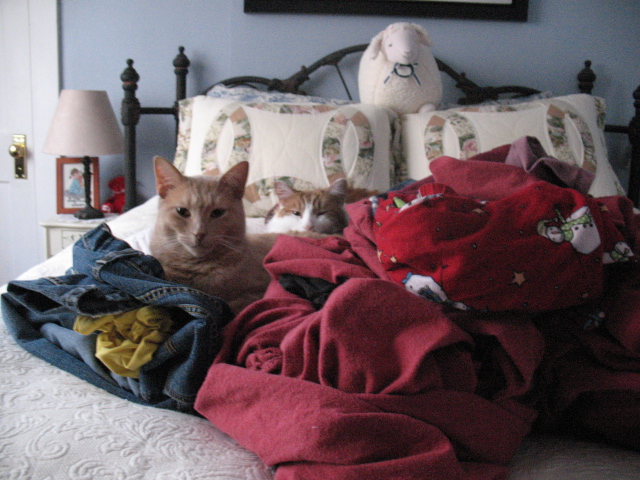 2008_0303LaundryTrolls.jpg