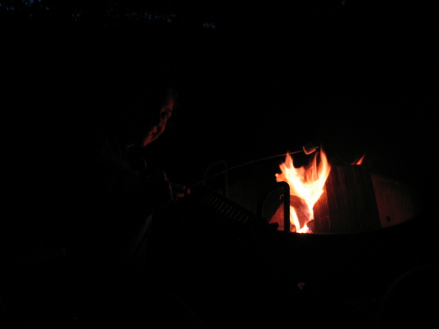 2008_0826SuccessfulFireWithWetWood.jpg