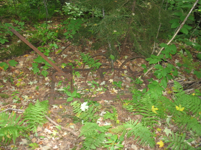 2008_0828Debris1.jpg