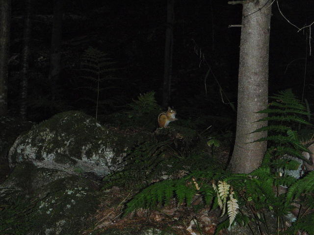 2009_0914JohnsBrookBaseCamp1.JPG