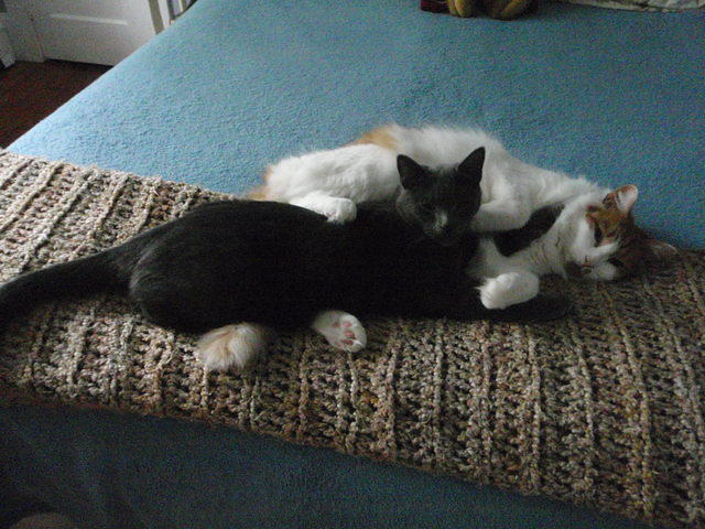 2009_0927TheyLoveEachOther1.JPG