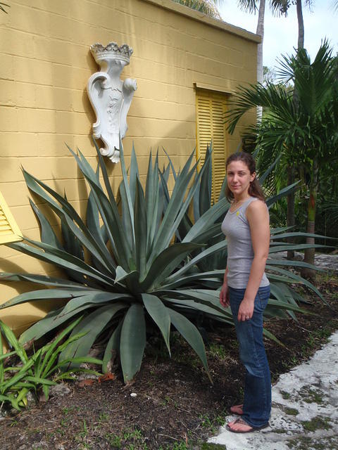 2009_1124MeAndAHugePlant.JPG