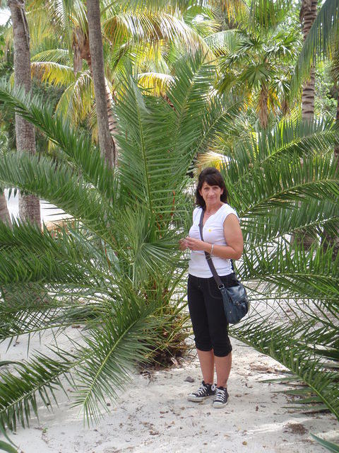 2009_1124MommyAndAHugePlant2.JPG