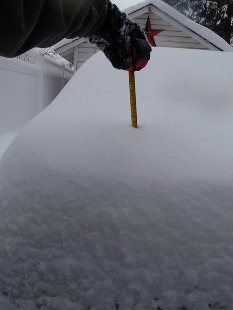 2009_0302GoodMeasurement.jpg