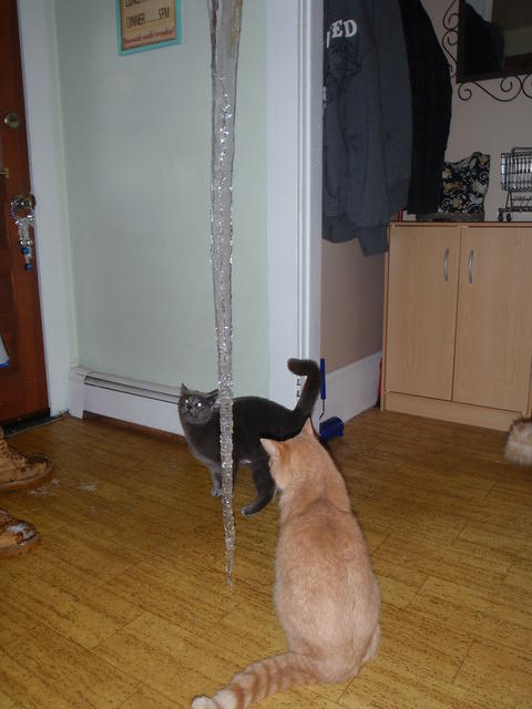 2009_0304AniAndKhensuCheckingOutTheIce.jpg