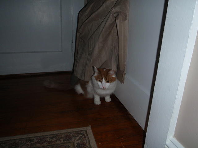 2009_0317MySweetStetto.JPG