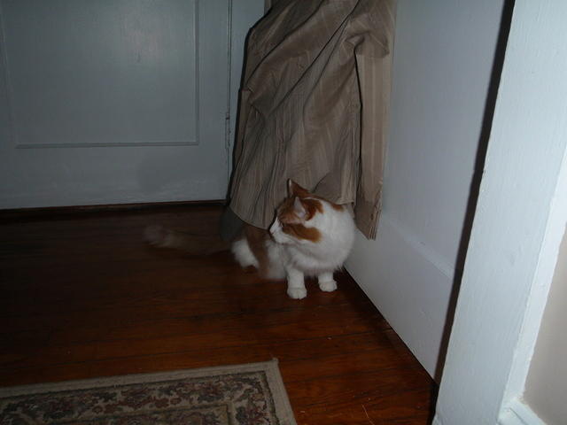 2009_0317WhatsThat.JPG