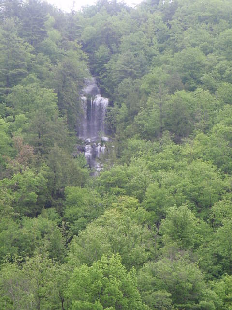 2009_0528Pretty.jpg