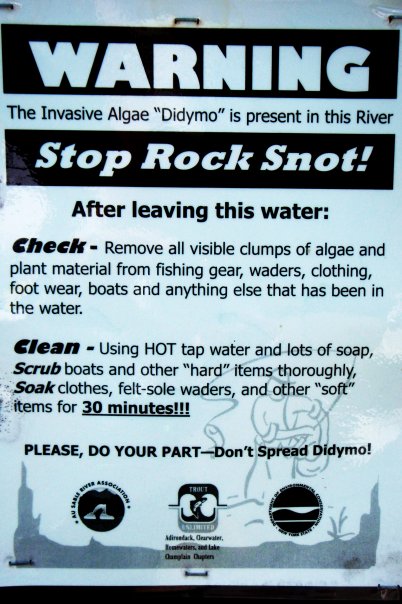 2009_0529RockSnot.jpg