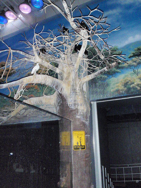 2009_0708DangerZone.JPG