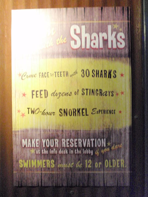 2009_0708MotherInLawsBDayGift.JPG
