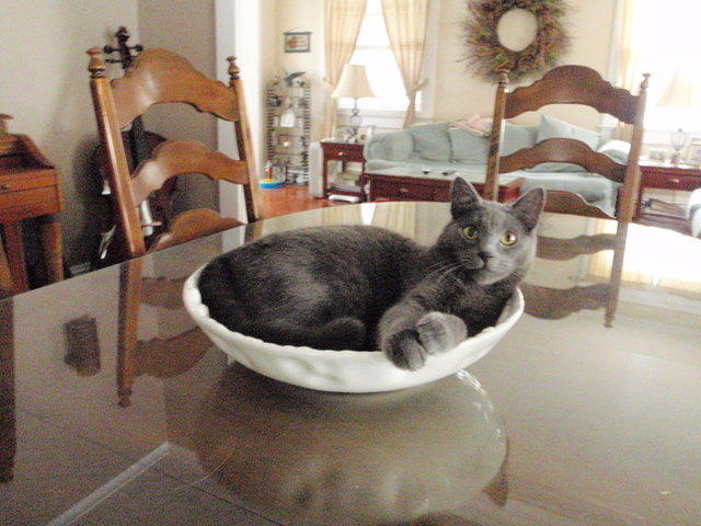 2009_0716Khensu.JPG