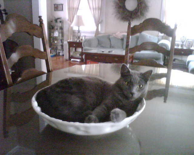 2009_0716KhensuInABowl.jpg