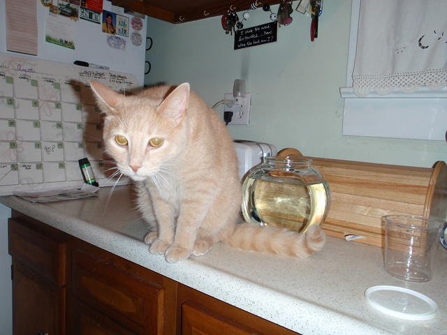 2009_0815AniPouted.JPG