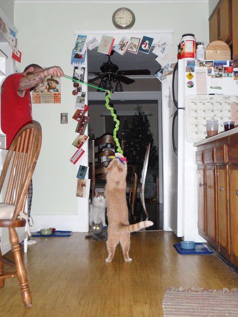 2009_0102Anubis.JPG