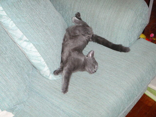 2009_0104KhensuPretzel.JPG