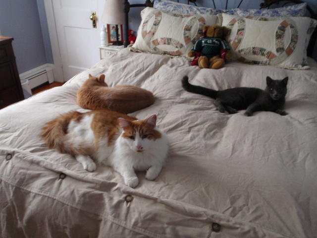 2009_0213AllThreeTogether.jpg