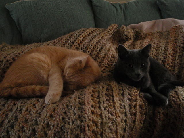 2009_0222NappyBabies.jpg